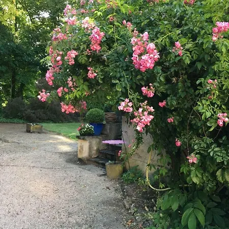 Château De Couette-café Saint-Agoulin